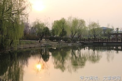 诗意斜阳