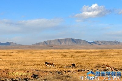 《碧蓝之海》的观后感10篇