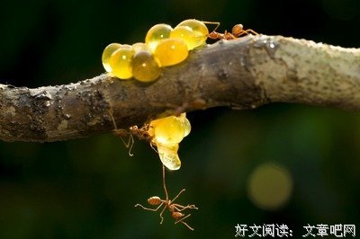《千钧一刻》好看吗？经典影评10篇