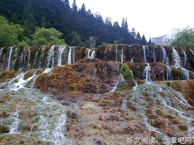 《自助成名》读后感10篇