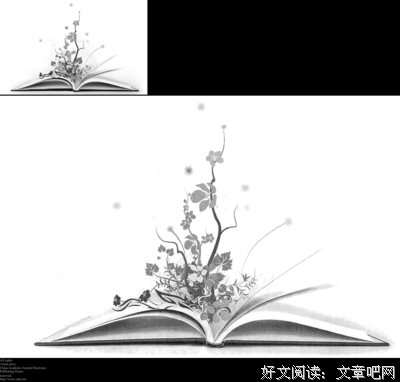 《根鸟》经典读后感10篇