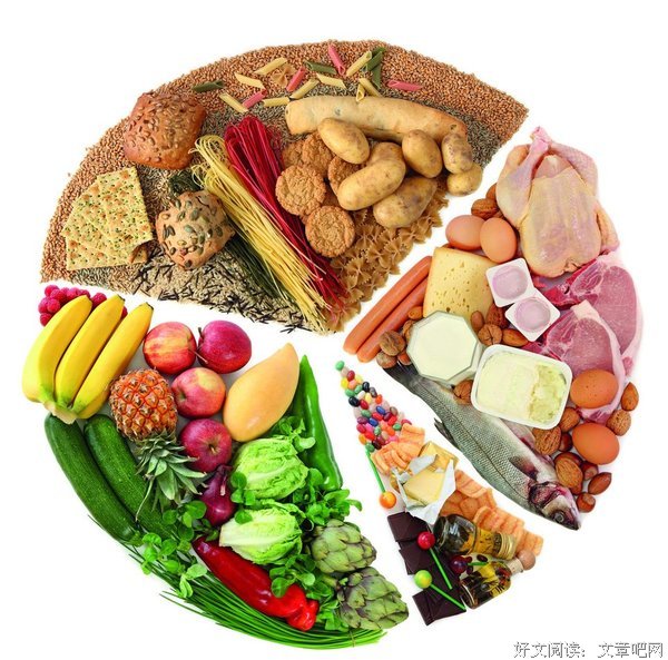 《名人饮食经》读后感精选10篇