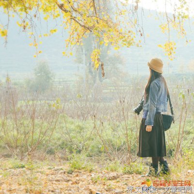《安妮日记》的读后感10篇