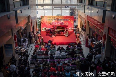 调琴师读后感10篇