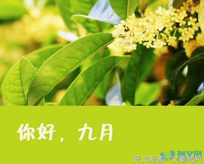 有关叶落不归的句子