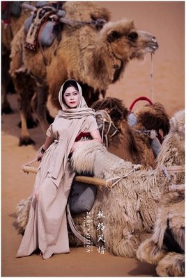阿拉善的句子