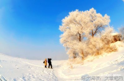 关于名家句集的优美句子