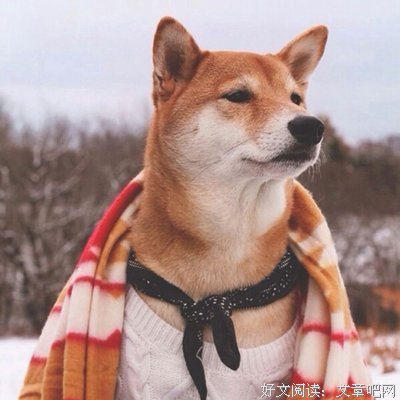 魍魉魑魅乀魈鬽乄魃鬾魊魖经典的句子