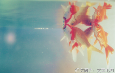 关于唯美时光的优美句子