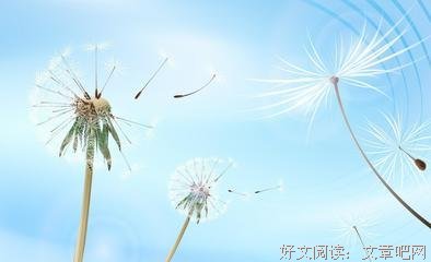 关于喜欢就好的优美句子