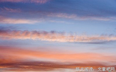 种种的句子