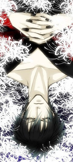 黄泉路引之九尾