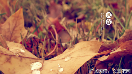 寒露 | 白露身不露，寒露脚不露