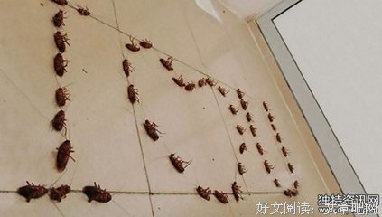 关于一无所获的语句