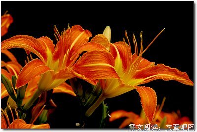 冯新生：百年老窖，一抹鲜丽