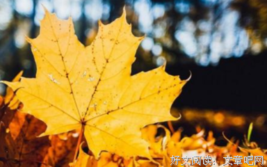 描写丝丝的经典句子