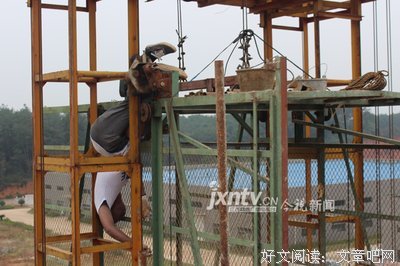 涂小龙的名句