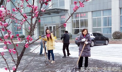 描写辣手摧花的经典句子