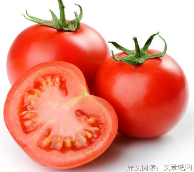曹含清名言