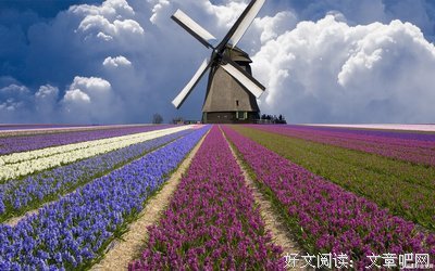 最新的《我的来物觉士看物明不可能这么萌》语录摘抄大全