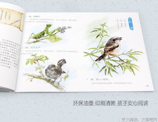 给孩子们说二十四节气·冬的读后感10篇