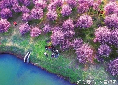 《花盼》经典读后感10篇