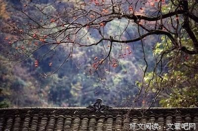 今日寒露，你必须知道的养生知识！