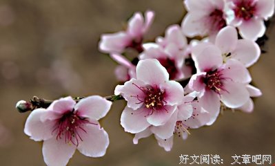散句子大全