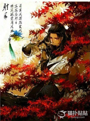 我的前半生的优美句子