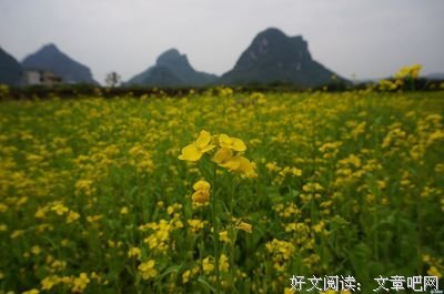 讲完这些话，我们的故事就到这里结束