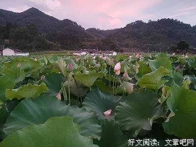 关于相映成趣的名言