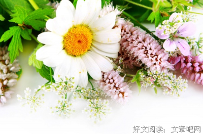 描写梁实秋的语句摘抄