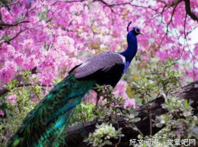 ღ◉天呐，她太漂亮了，实在太漂亮了！不发出来对不起大家~