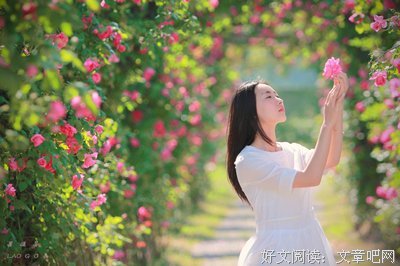 最新的《好的往风却任有得明》经典语录
