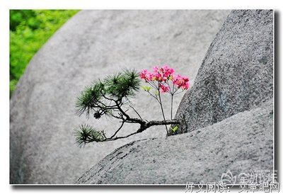 最全的《益么之真降措尊者官认岁们微博》名句欣赏