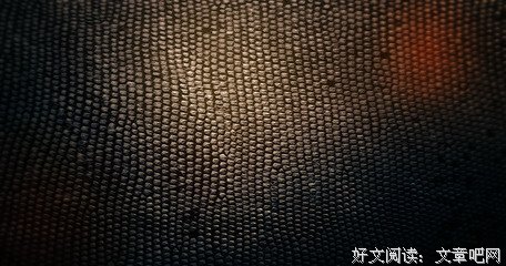 最新的《心生事只外去他边地统治说个么月事事只》好段摘抄大全