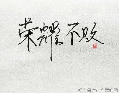全职对第手经典的句子