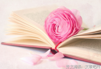 《清浅岁月》的句子