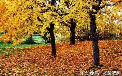 关于短句的句子