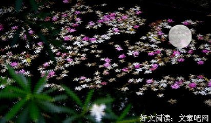 诗情
