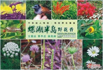 许仲文：野花流香（组诗）| 诗刊