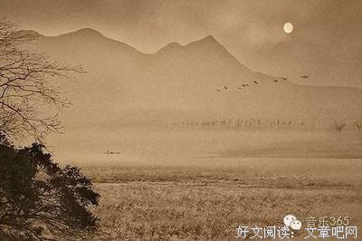 琵琶 |《夜闻落叶》清雅亮丽，平和淡然