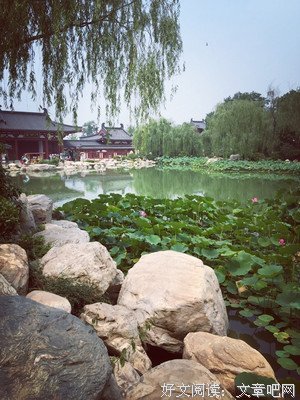 关于柳如痴座右铭