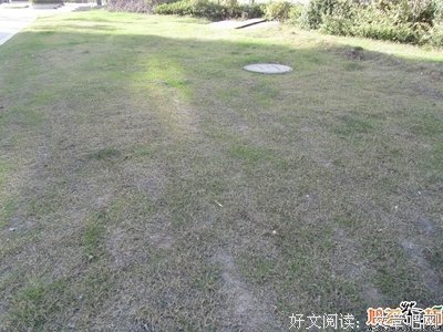 最经典的《柏庄曰》经典语句