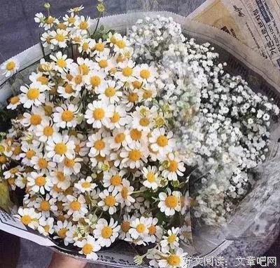 《长长的我有 我们慢慢多人也走》经典语录