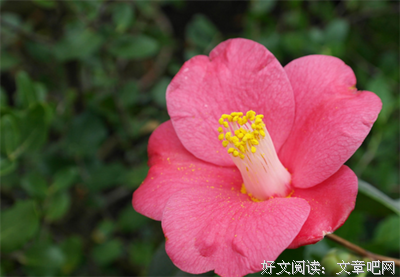 《写给想哭的你》读后感精选10篇