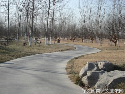 选择读后感10篇