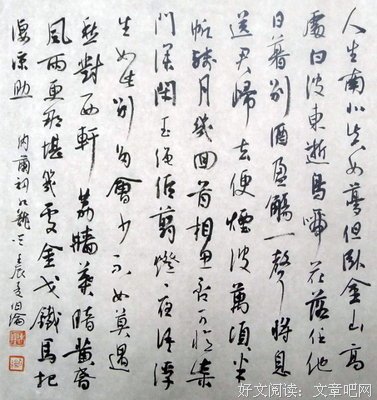 当花侧帽说纳兰读后感10篇