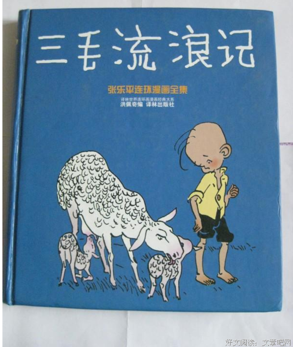 亲爱的三毛读后感精选10篇