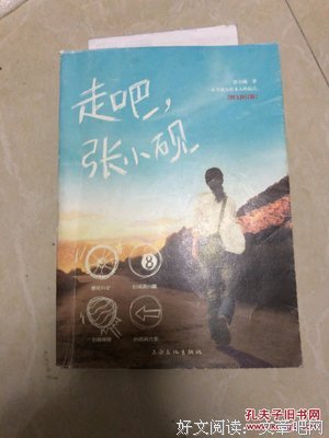 走吧.张小砚-图文修订版的读后感10篇